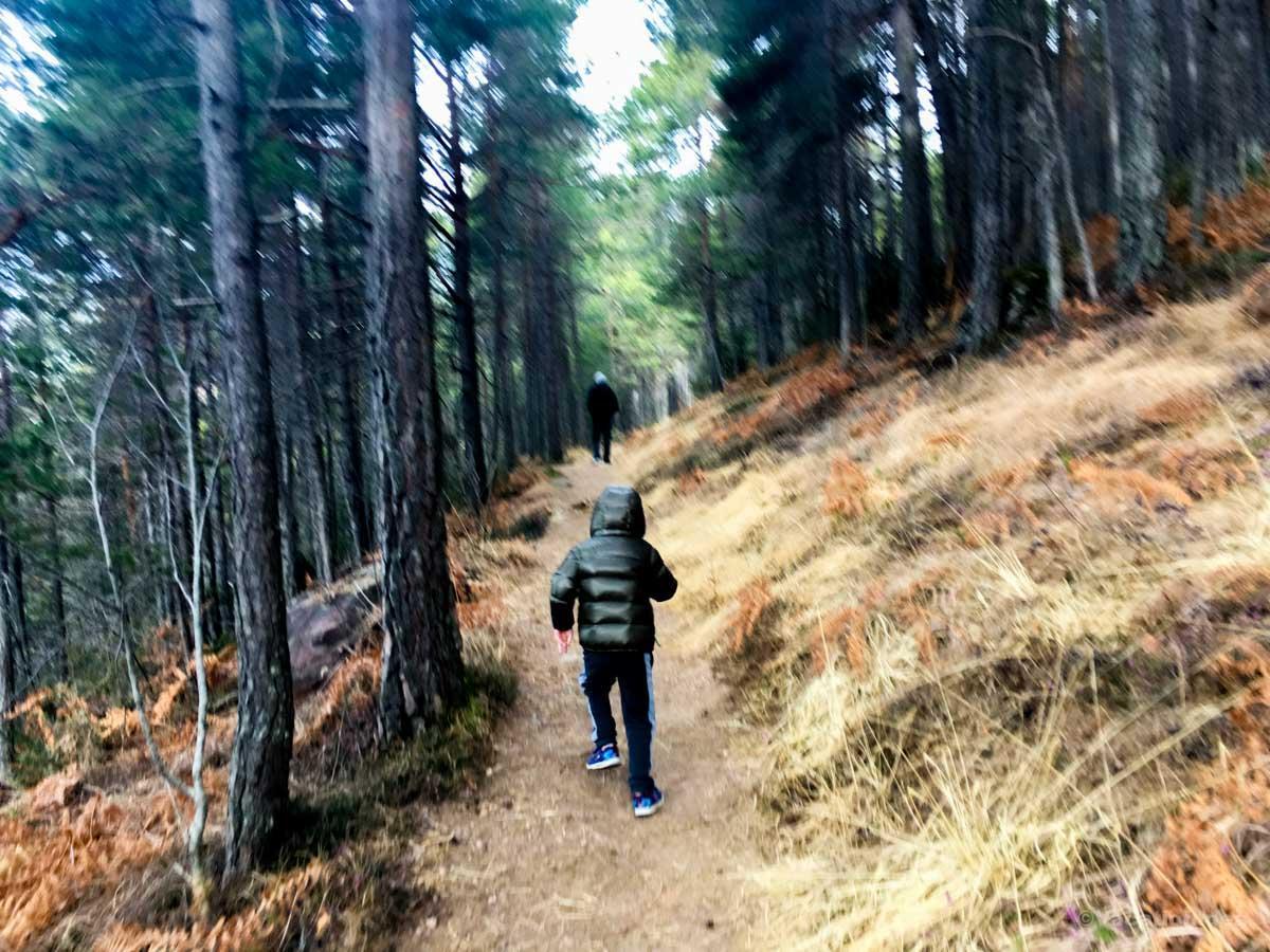 My family on a hiking trail