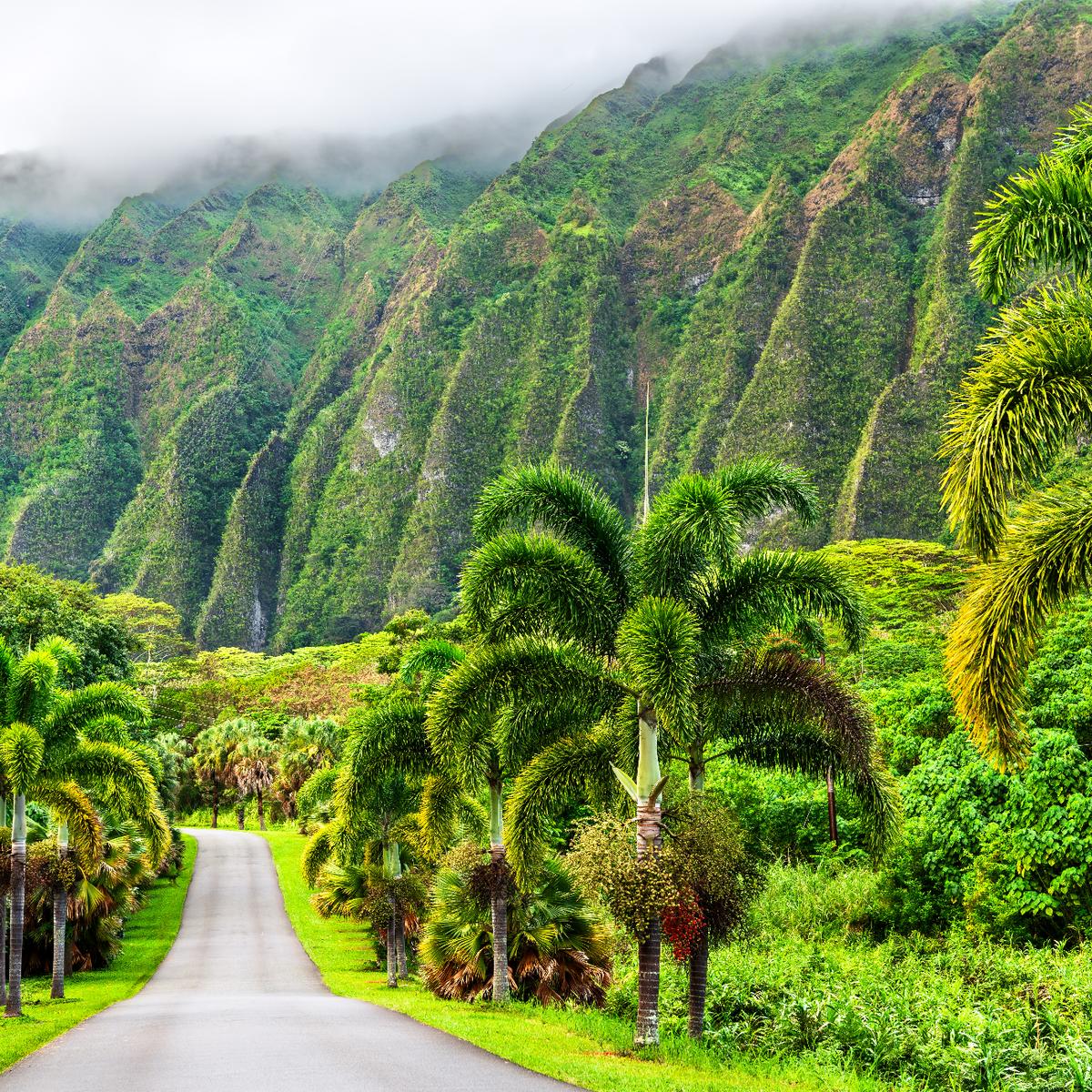 Hoomaluhia Botanical Park, Oahu