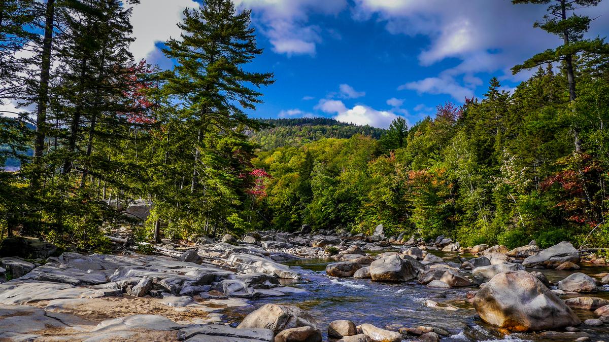 White Mountains National Park