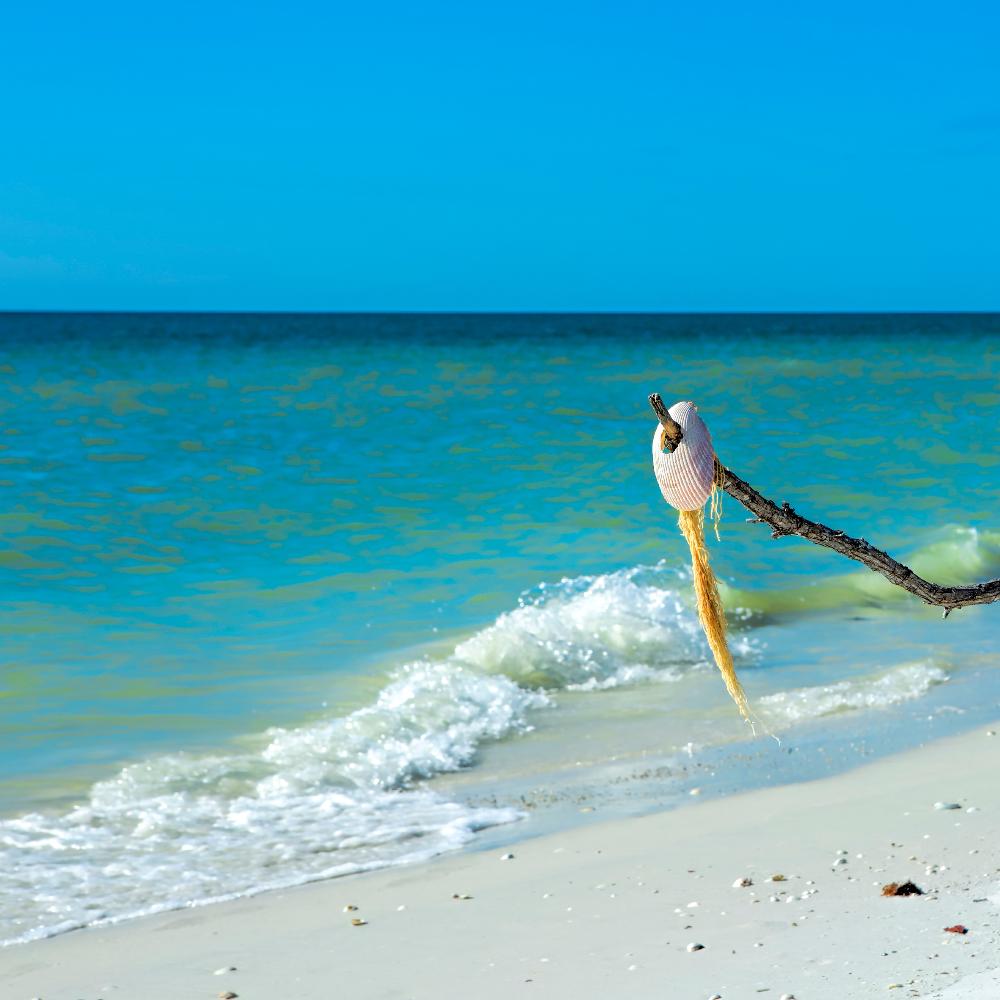 White sandy Tigertail beach on Marco Island