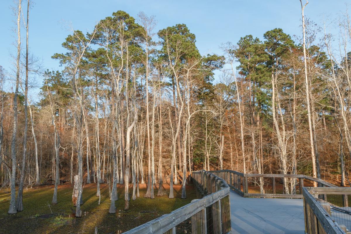 Lake Charles winter scenery