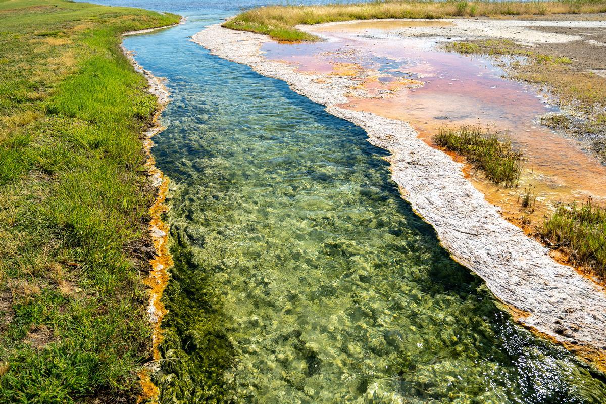 Soak in hot springs and visit dinosaur exhibits on a fun kids trip.