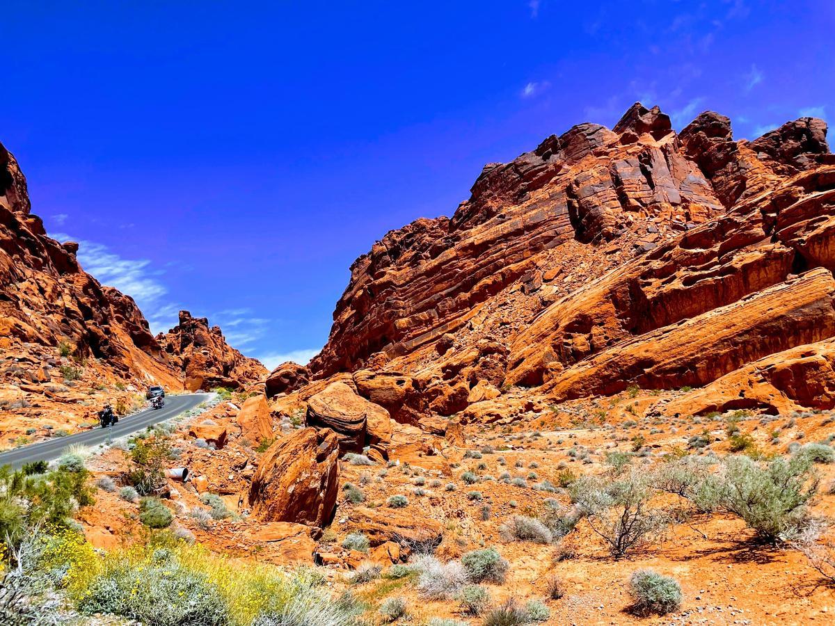 Admire fiery red sandstone and discover ancient petroglyphs on a stunning spring trip.