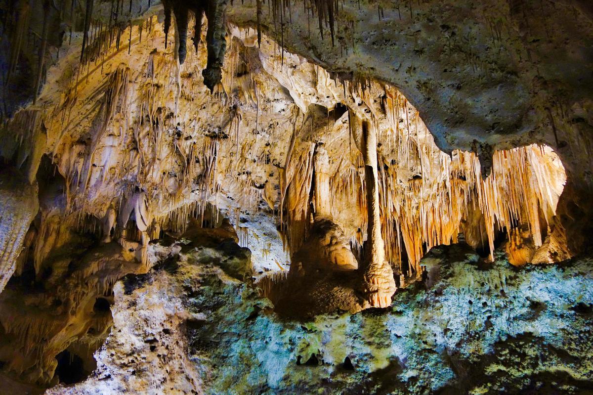 Tour caverns and hike desert trails on an exciting nature trip.