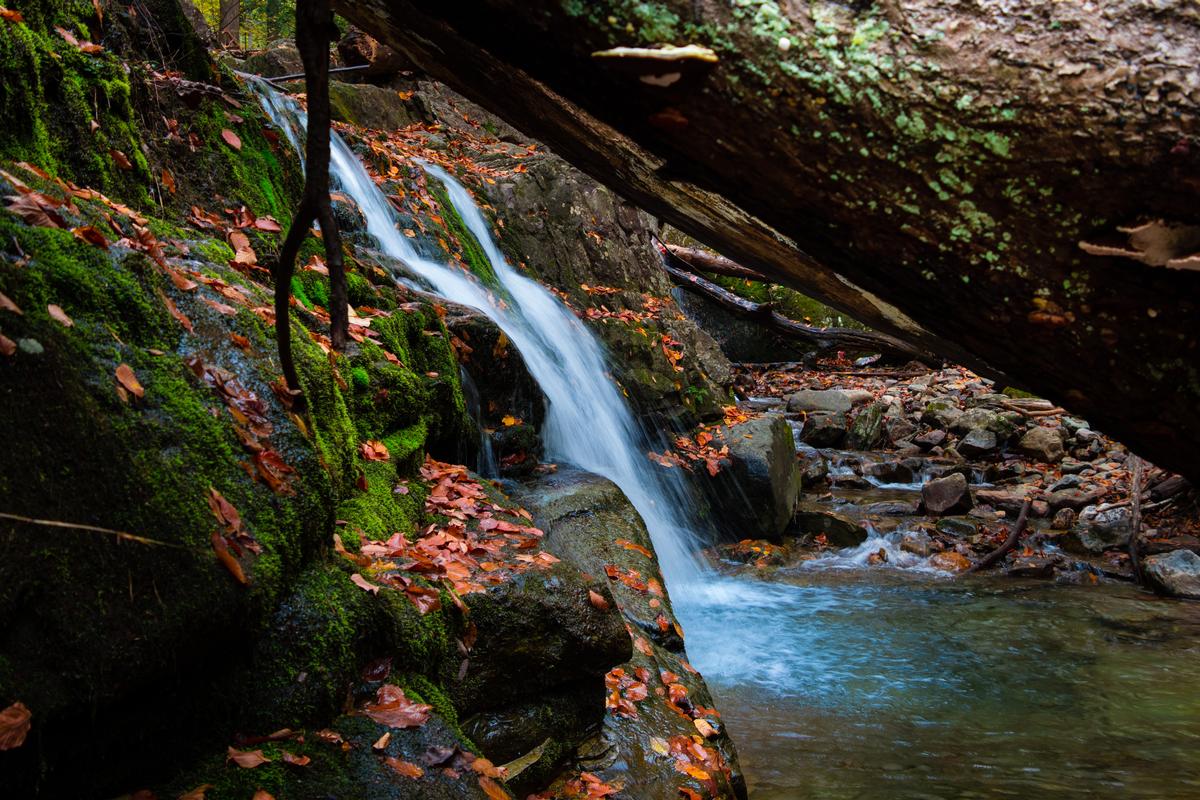 Enjoying fall foliage at Dunnfield creek falls in Delaware Water Gap National Recreation Area