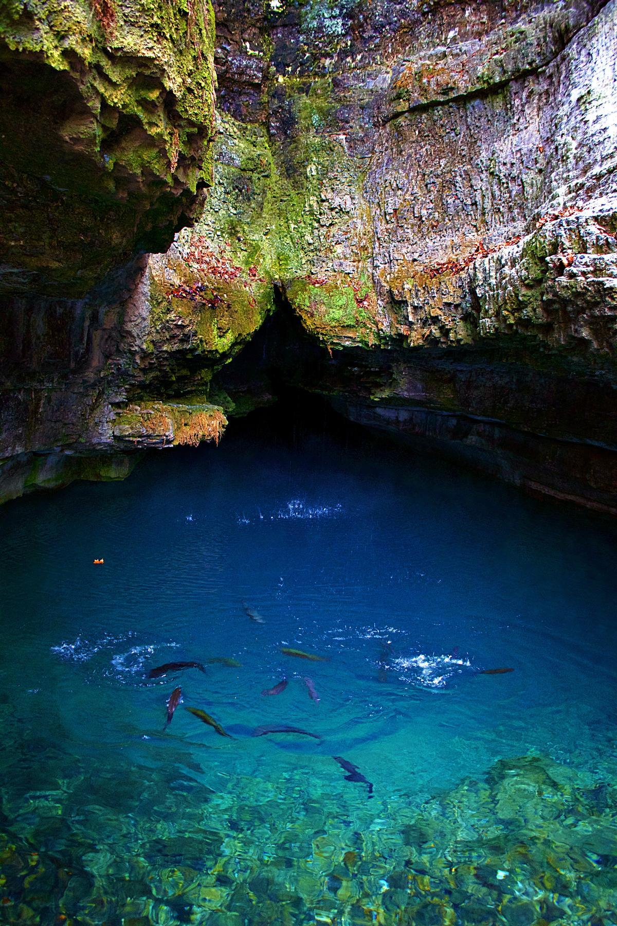 Roaring River State Park