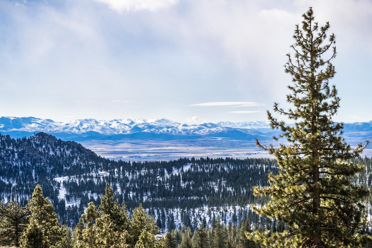 Carson City NV in the spring