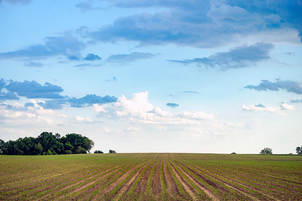 Spring Grove, Minnesota