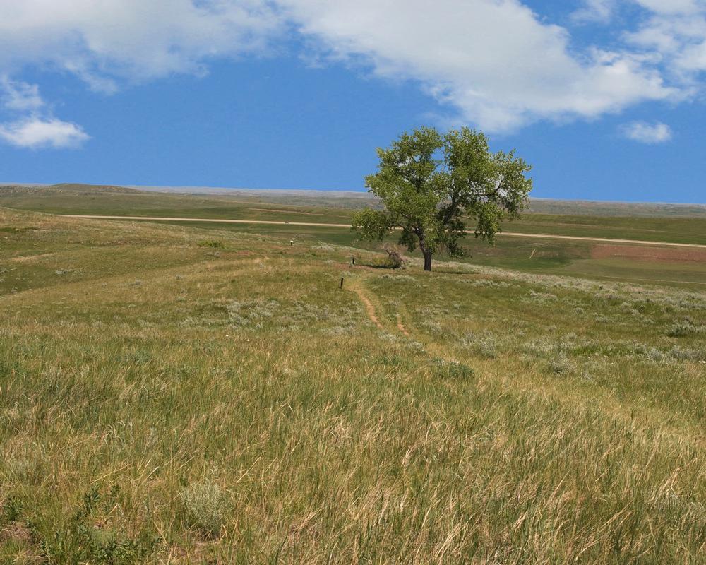 Thunder Basin National Grassland