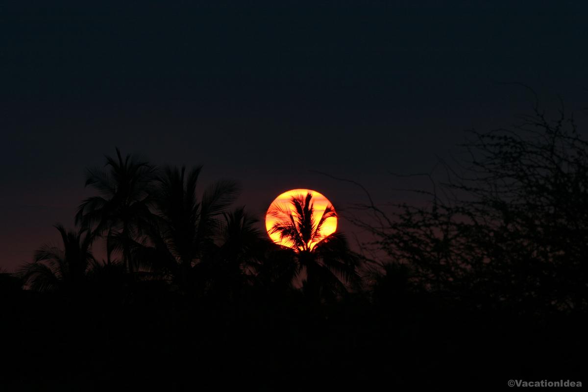 I took this photo during a sunset in the tropics