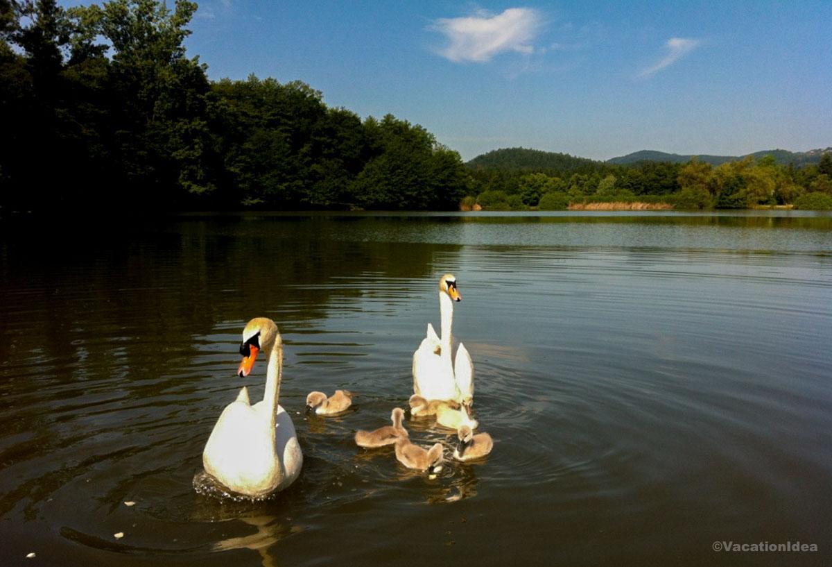 I took this photo of the lake