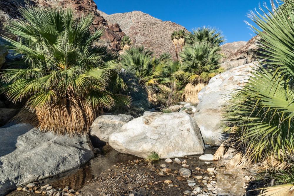 Explore slot canyons and discover blooming cacti during a scenic spring adventure.