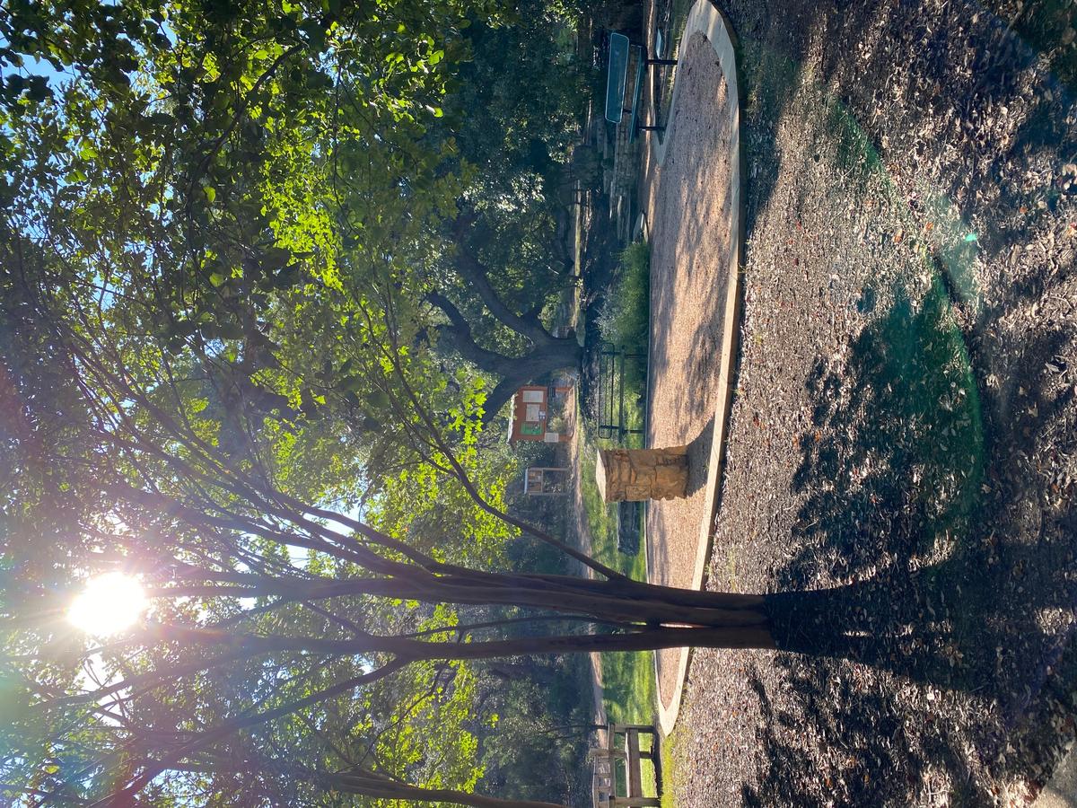 I took this photo of benches at the trailhead at a Texas Hill Country Park