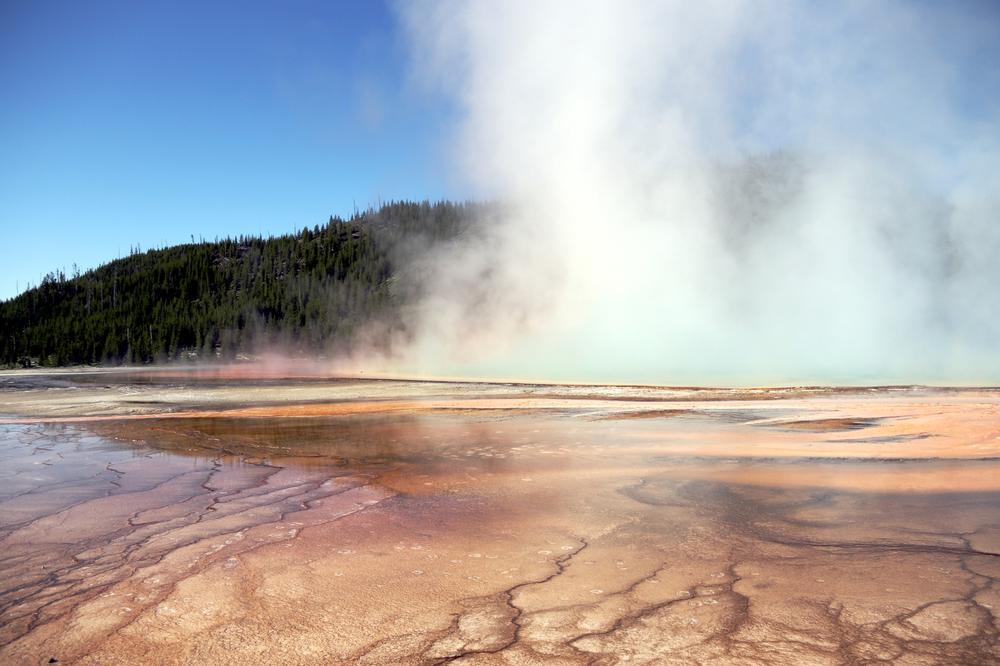 Watch geysers erupt and explore wildlife-rich valleys on an exciting family adventure.