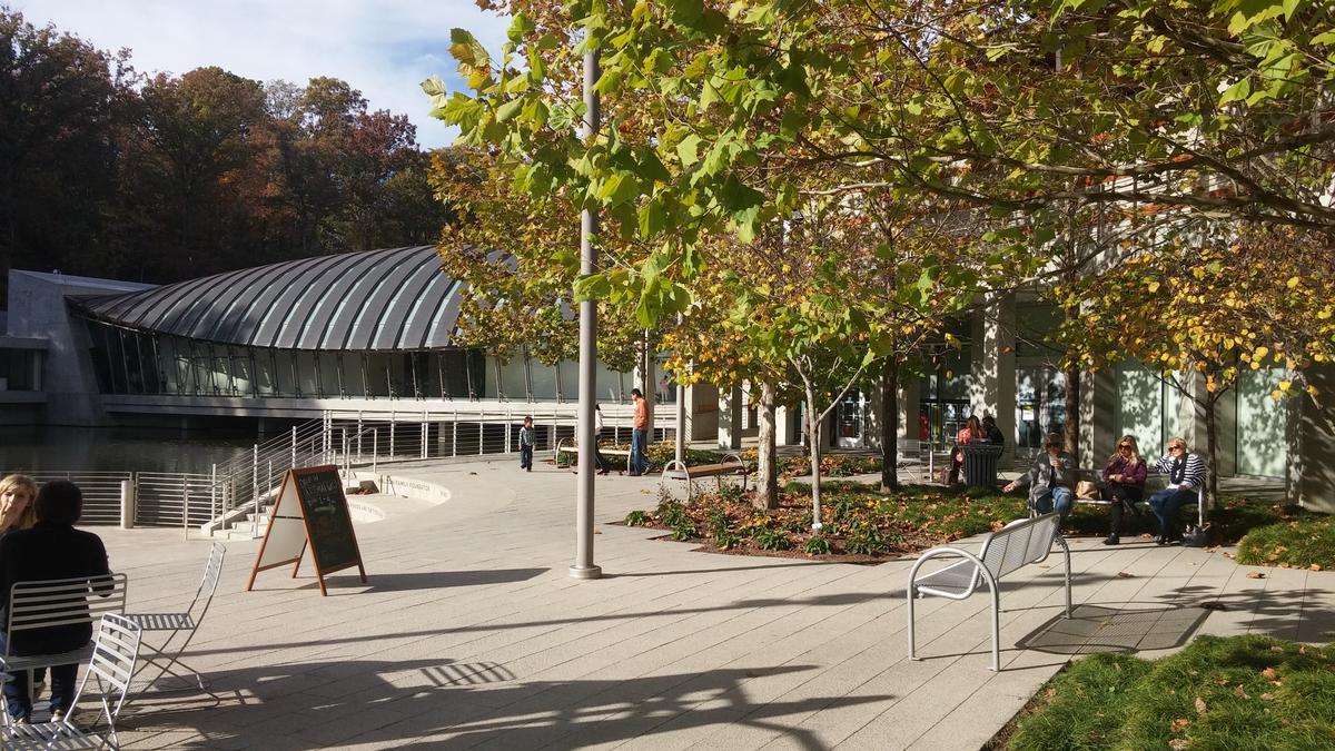 Visit the Crystal Bridges Museum and discover exciting local attractions.
