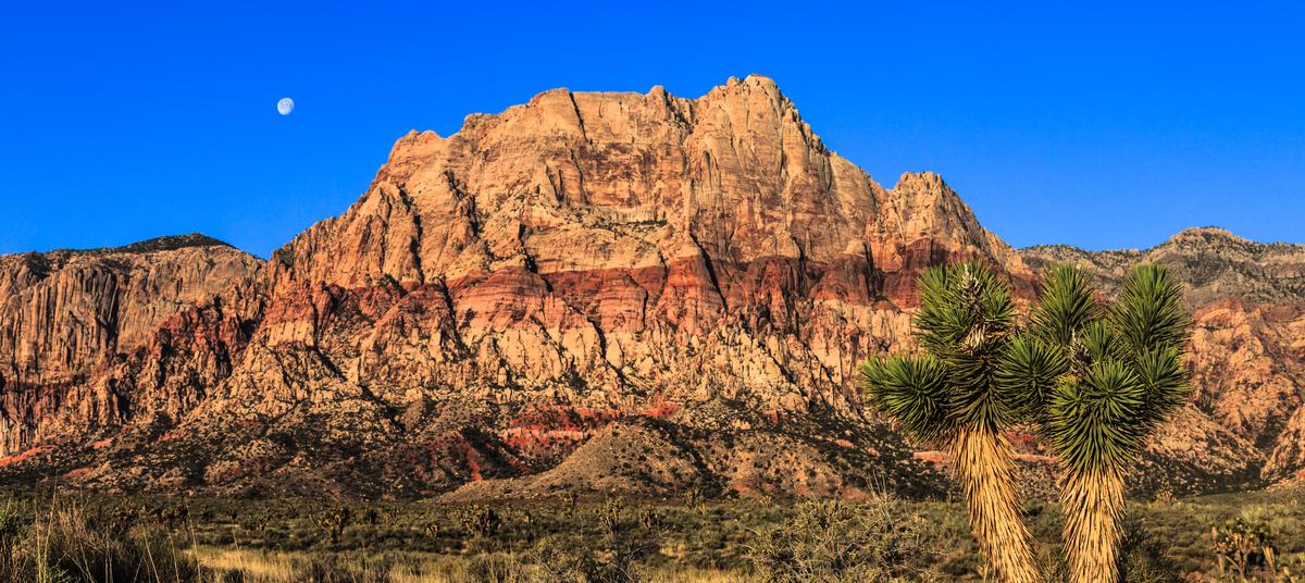 Hike stunning desert trails and admire towering cliffs on an affordable outdoor trip.