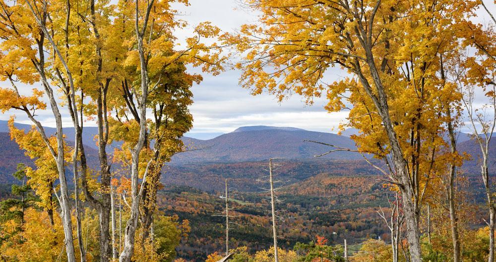 The Catskills, NY: Theater in the Woods and a Meal Worth Remembering