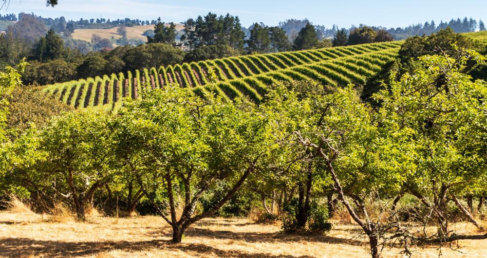 Visit art museums and stroll downtown on an affordable spring getaway.