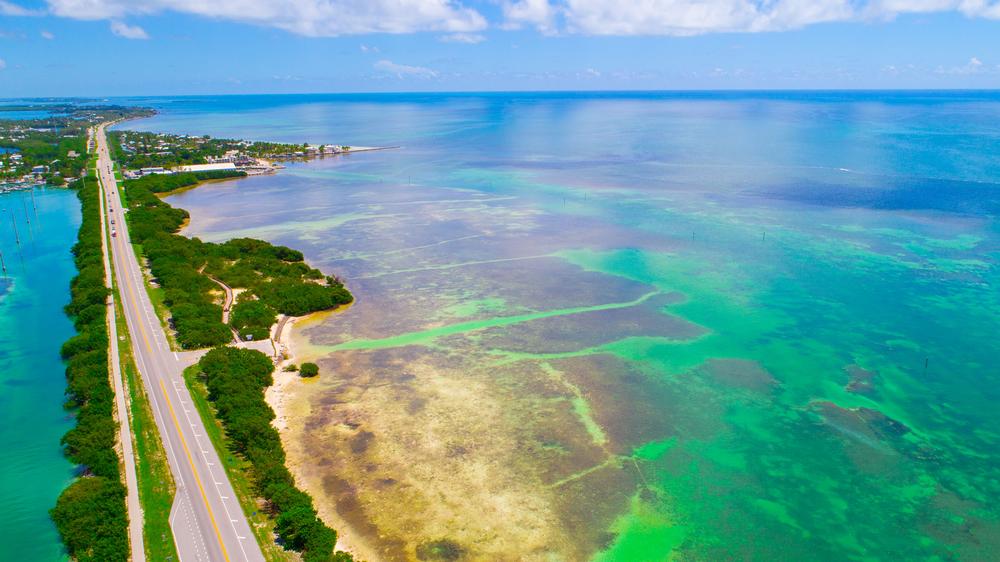 Unwind in Tropical Bliss Across the Florida Keys