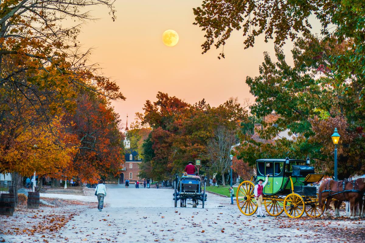 Step back in time and discover colonial sights on an exciting family-friendly adventure.