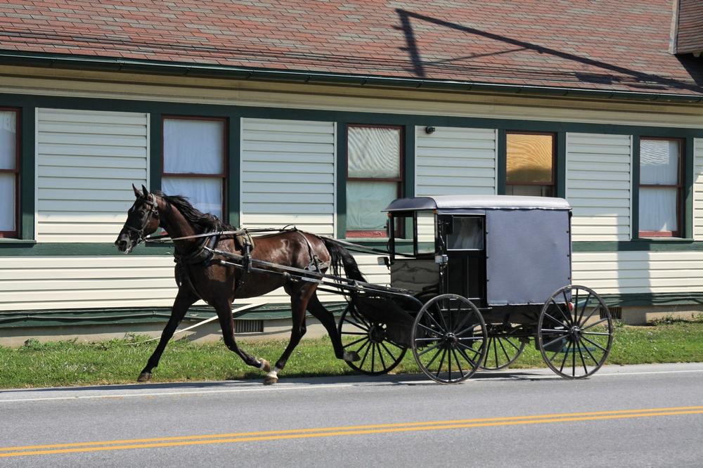 Discover Amish culture and savor farm-fresh food on a relaxing retirement trip.