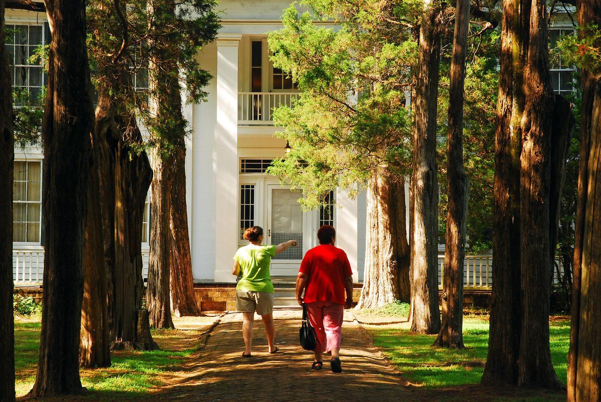 Visit the University of Mississippi and stroll through charming downtown streets.