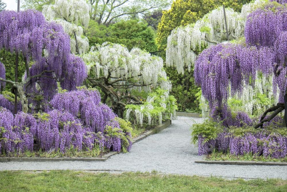 Visit vibrant botanical gardens, explore charming downtown shops, and admire beautiful countryside scenery.