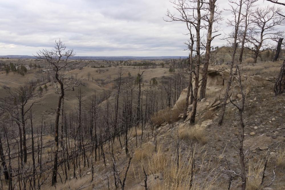 Experience Untamed Beauty at Charles M. Russell Wildlife Refuge