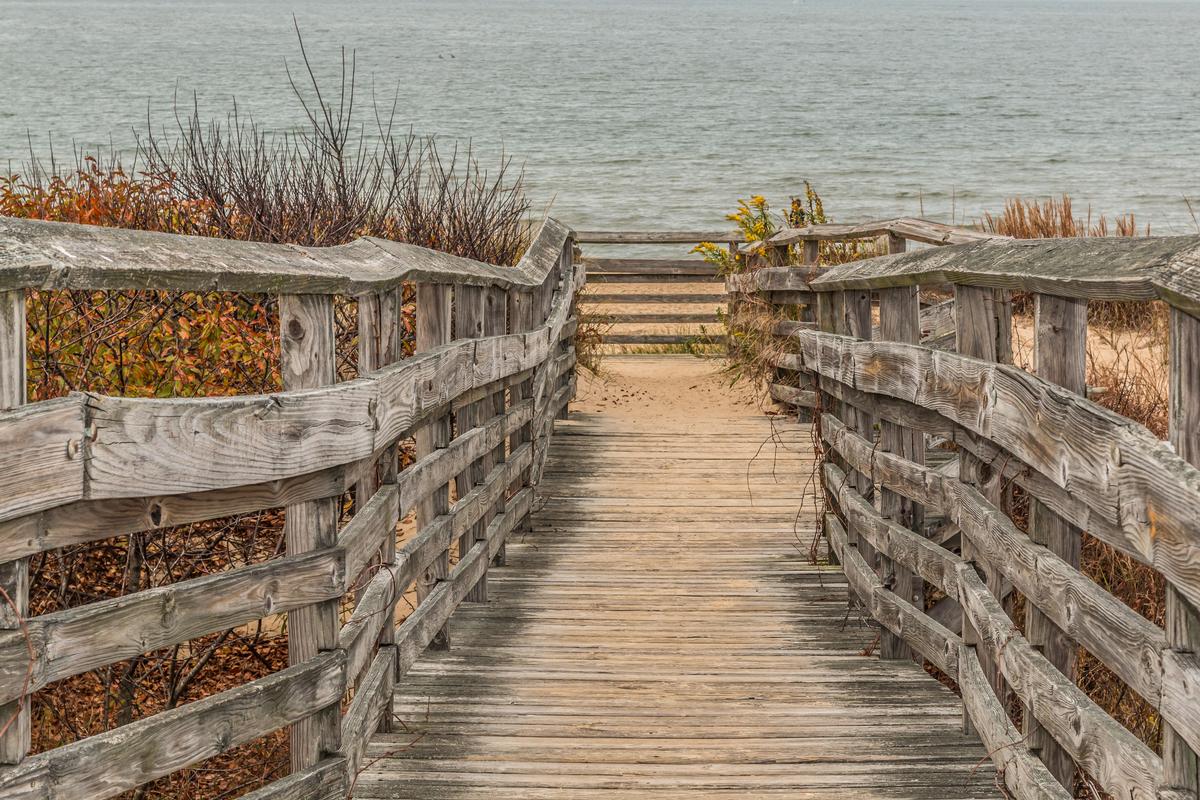 First Landing State Park: Chesapeake Calm & Ancient Forests
