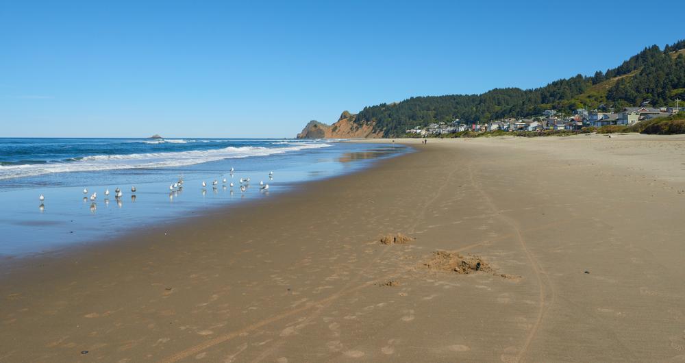 Lincoln City Driftwood & Glass