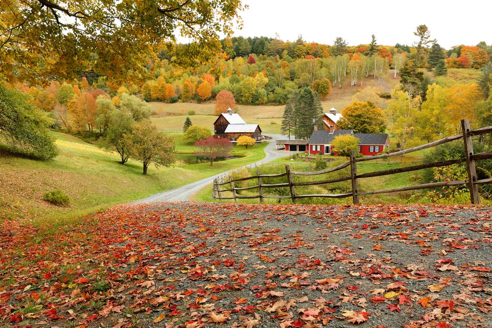 Stroll Quaint Streets and Soak in New England Beauty in Woodstock