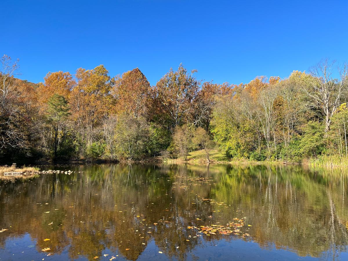 Frank Bentz Pond in Thurmont, Frederick County, Maryland