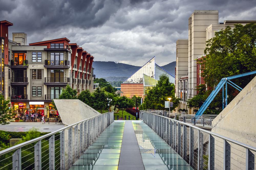 Ride the incline railway and visit the aquarium on a fun kids adventure.