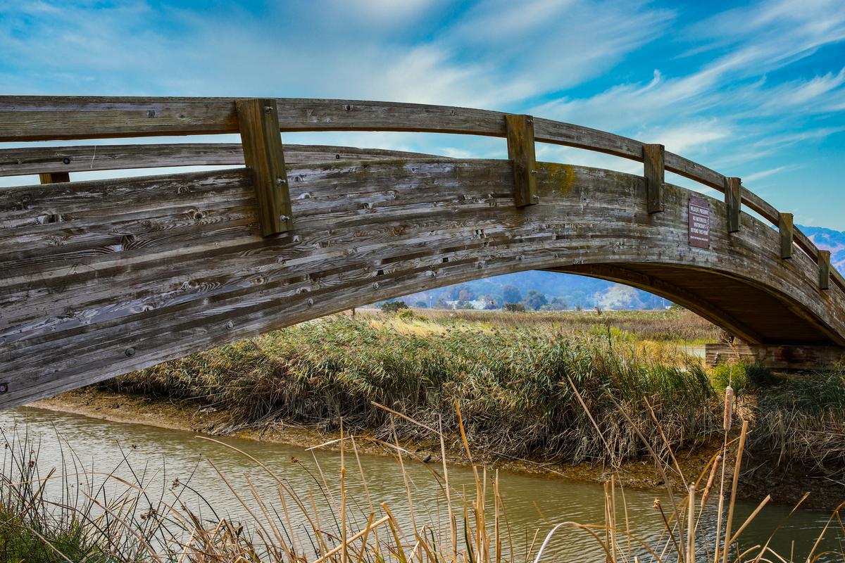 Golden Light and Quiet Trails in Martinez, California