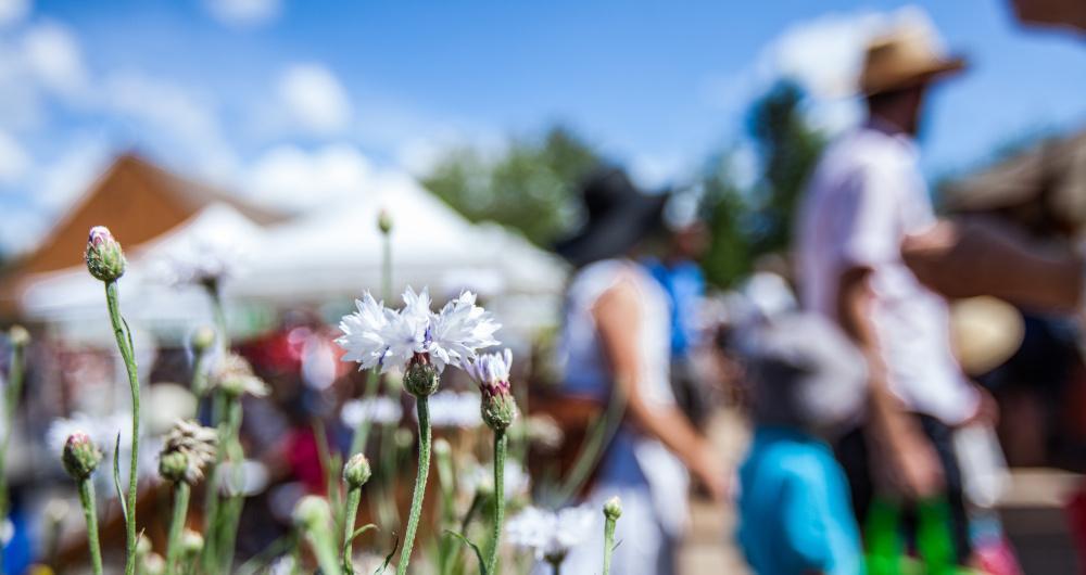 Quiet Streets & Clocktower Charm in Mechanicsburg