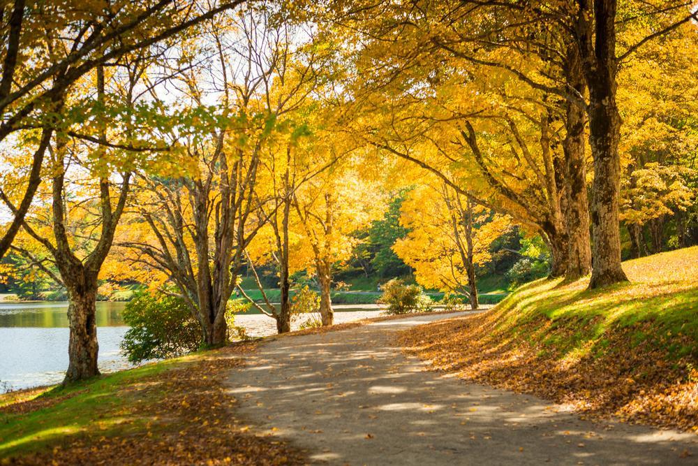 Explore mountain views and enjoy seasonal festivals on a fun spring trip.