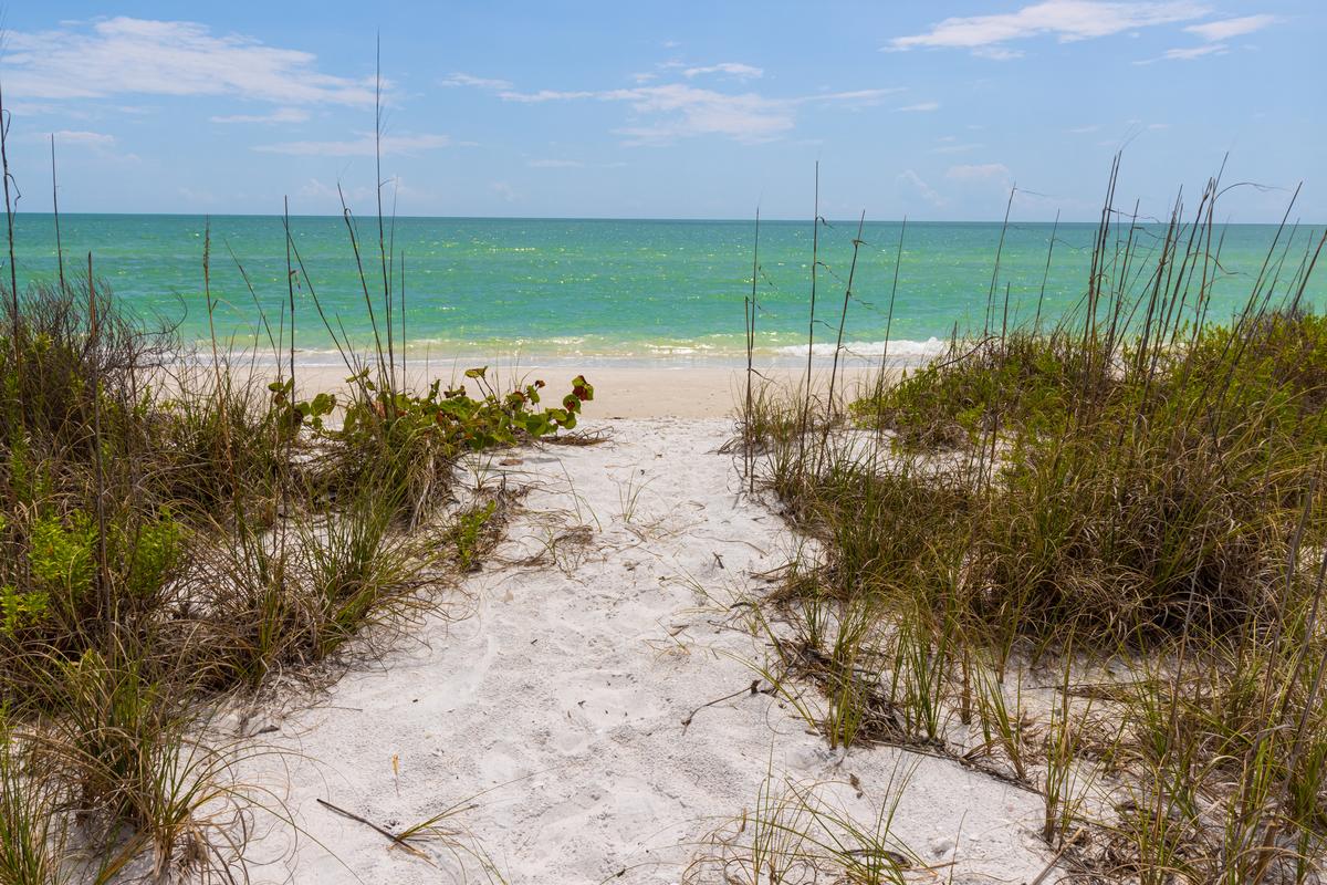 Soft Shores and Still Mornings on Marco Island