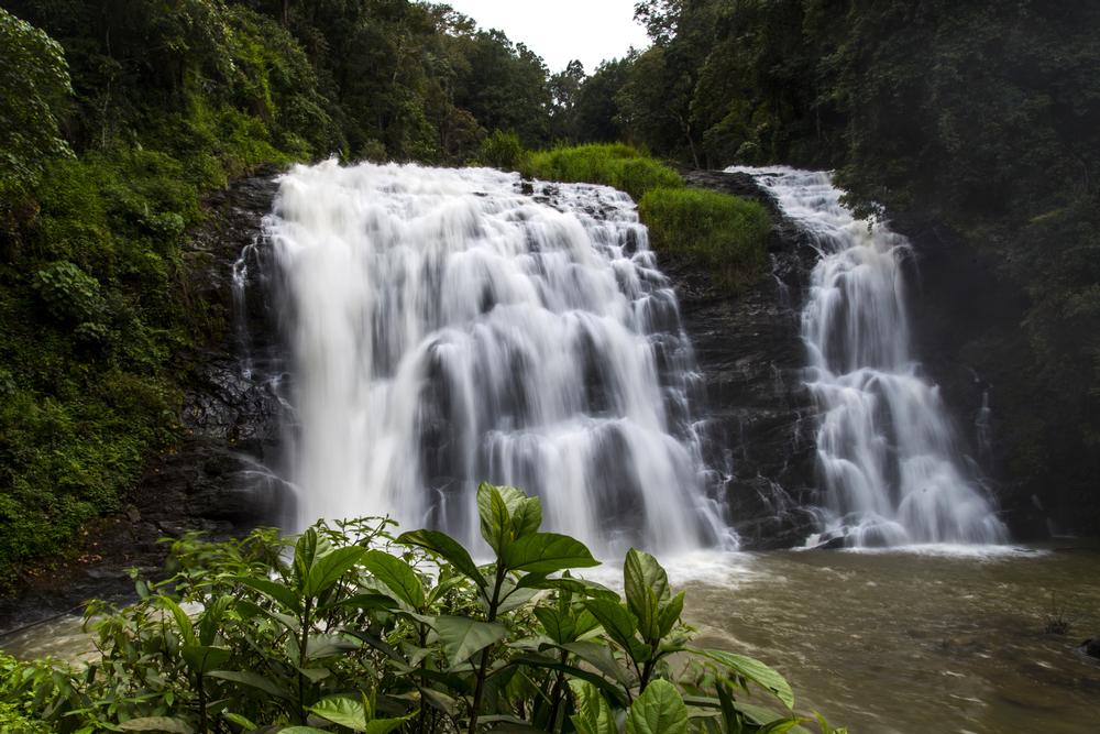 Breathe in the Green in Coorg