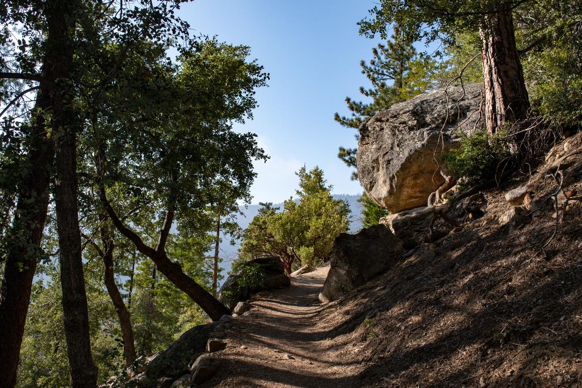 Visit mountain shops and explore pine forests on a cool summer escape.