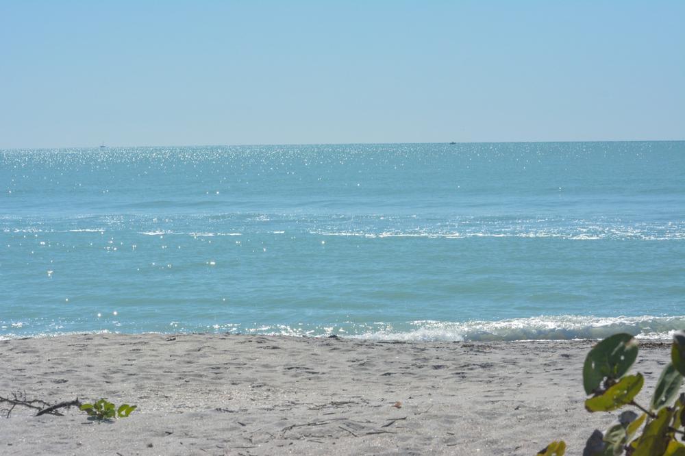 Grill, play, and enjoy an easy, kid-friendly outing near the beach.