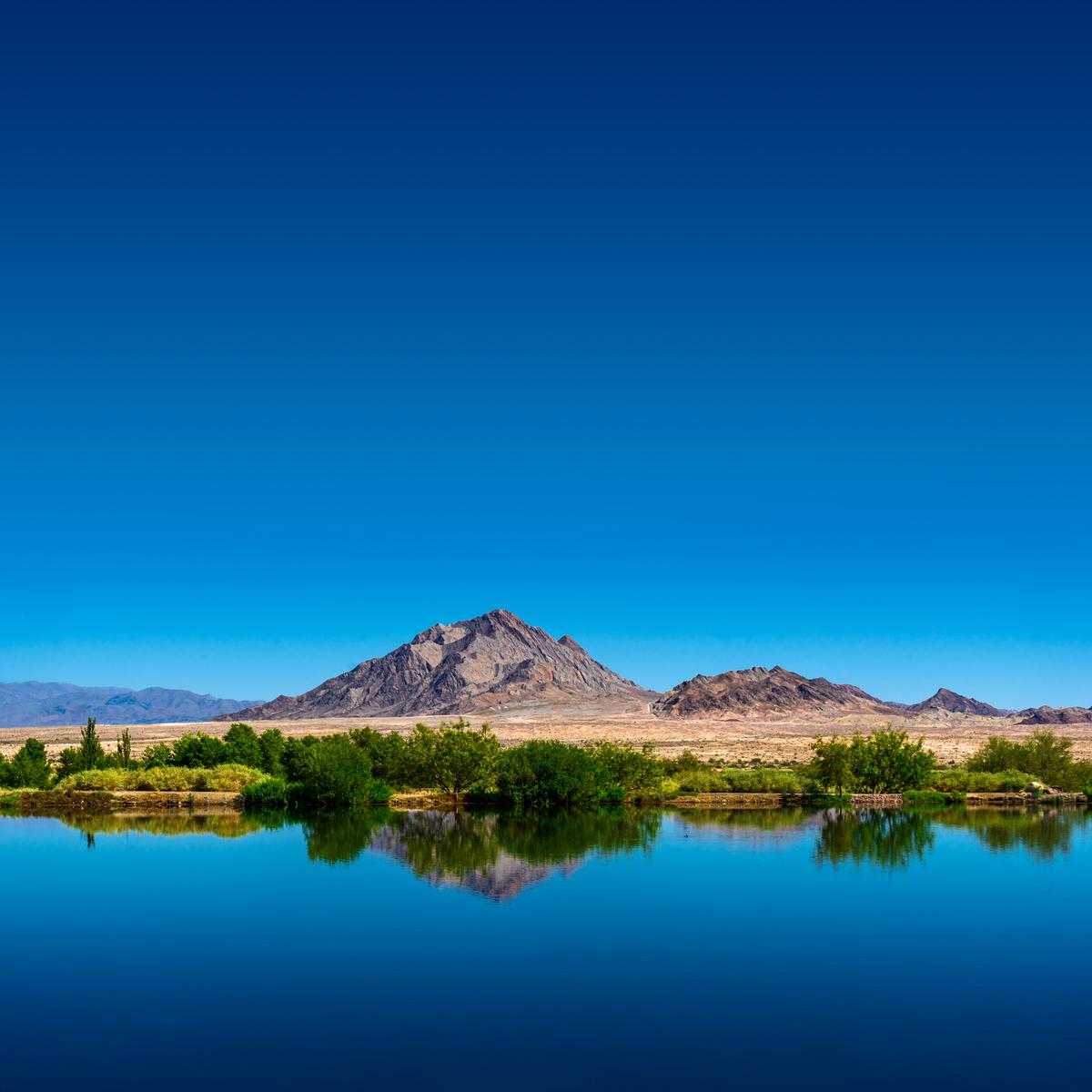 Hiking and birdwatching at Henderson Bird Viewing Preserve