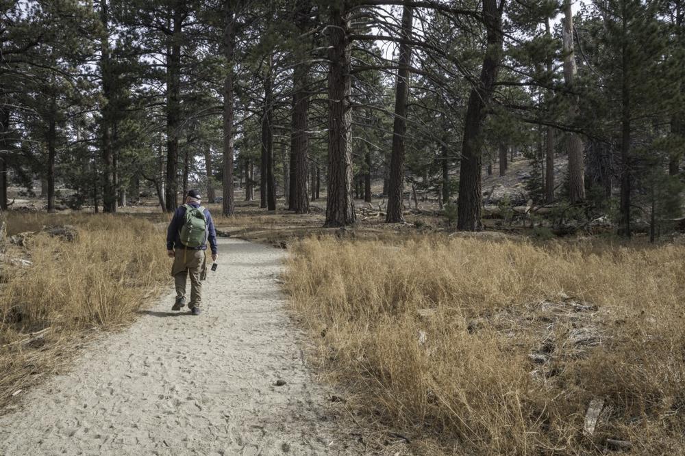 Idyllwild - 1 hour and 15 minutes from Palm Springs