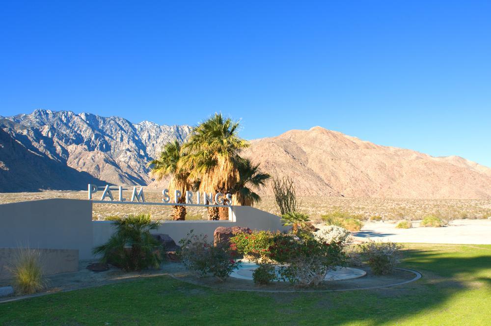 Mid-century dreams and desert bloom in Palm Springs