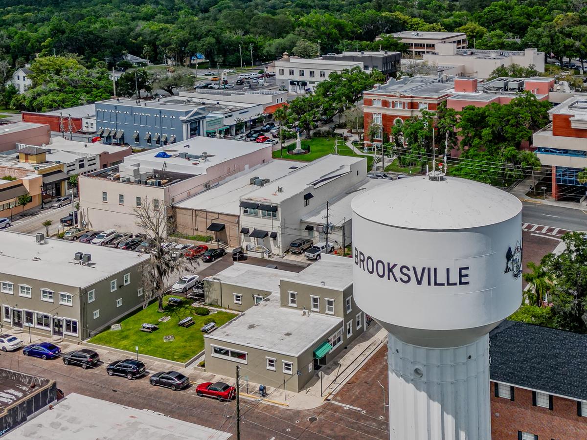 Moss and Market Strolls in Brooksville, Florida