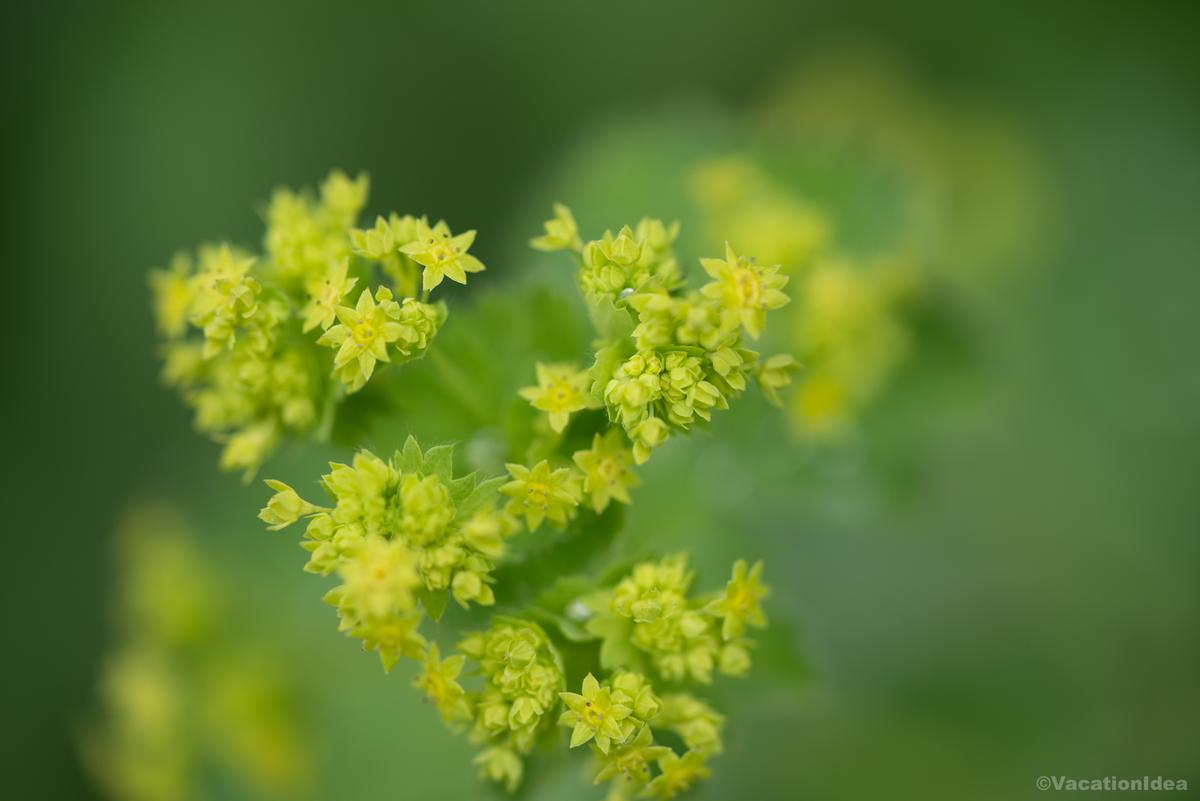 My photo in Elizabeth Hartwell Mason Neck National Wildlife Refuge
