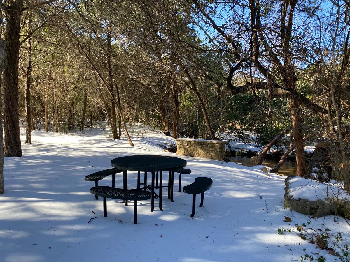 My photo of snowy landscape in Michigan along the trail