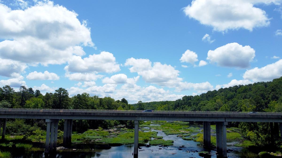 Pittsboro, North Carolina: Small-Town Wonder and a Taste of Honey