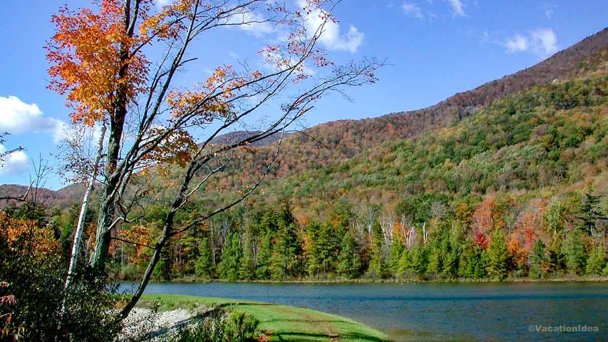 When I lived in NYC, Manchester VT was one of my favorite fall foliage spots. I took this photo in October.