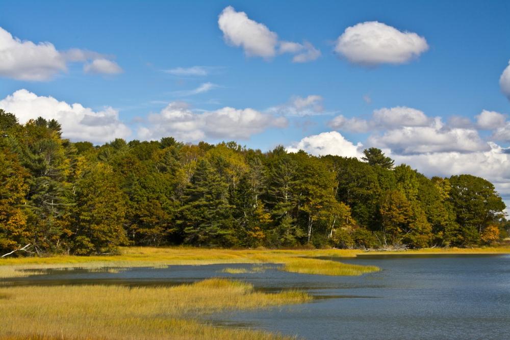 Brunswick - a 30-minute drive