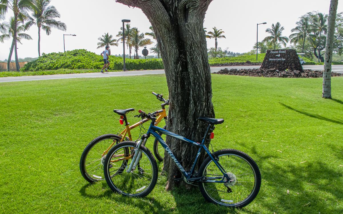 I took this photo of our bikes leaning against a tree as we stopped for a water break